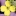 mustard flower icon