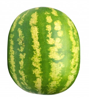 frozen-watermelon photo