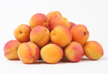 spare-apricots photo