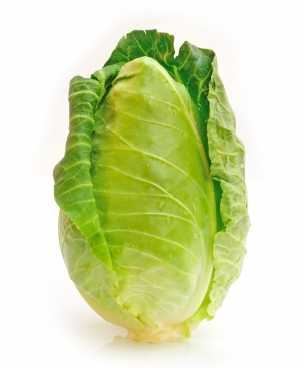 spare-cabbage photo