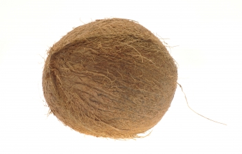 spare-coconut photo