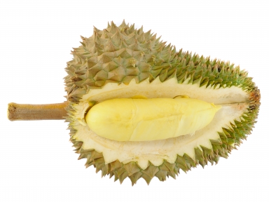 spare-durian photo