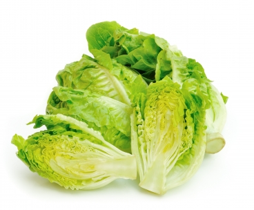 spare-lettuce photo