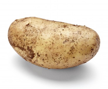 spare-potato photo